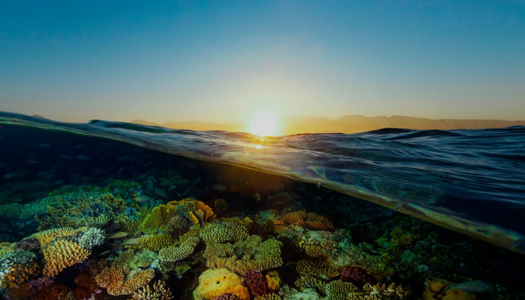 KSA’s environmental regulatory space and&nbsp;players