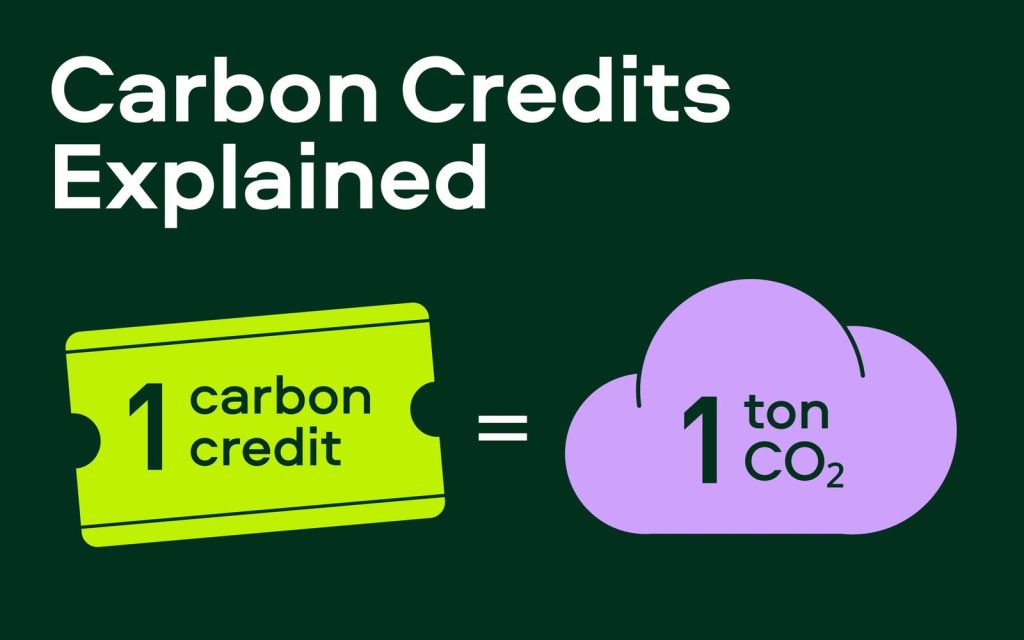 Carbon credits, markets, and registries