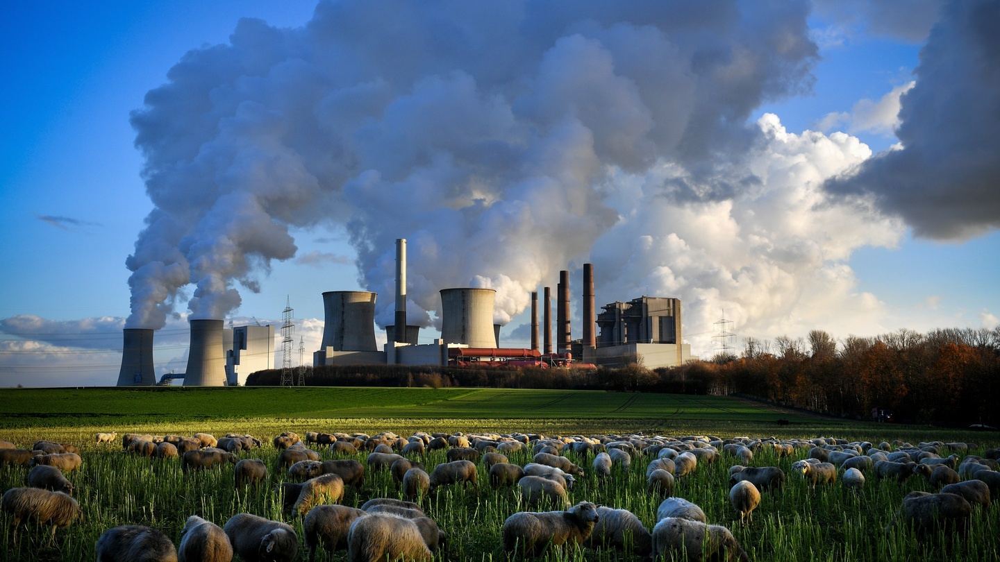 Open your carbon store…