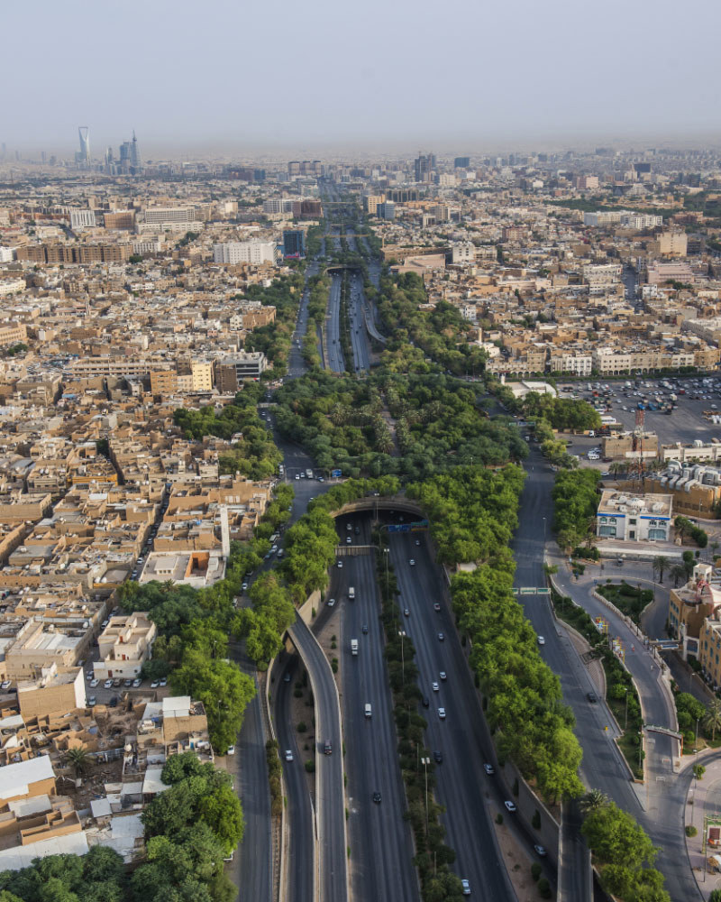 Ecological vs. engineered greening: balancing nature and innovation