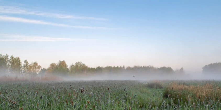 Evapotranspiration a measure of vegetation cooling?