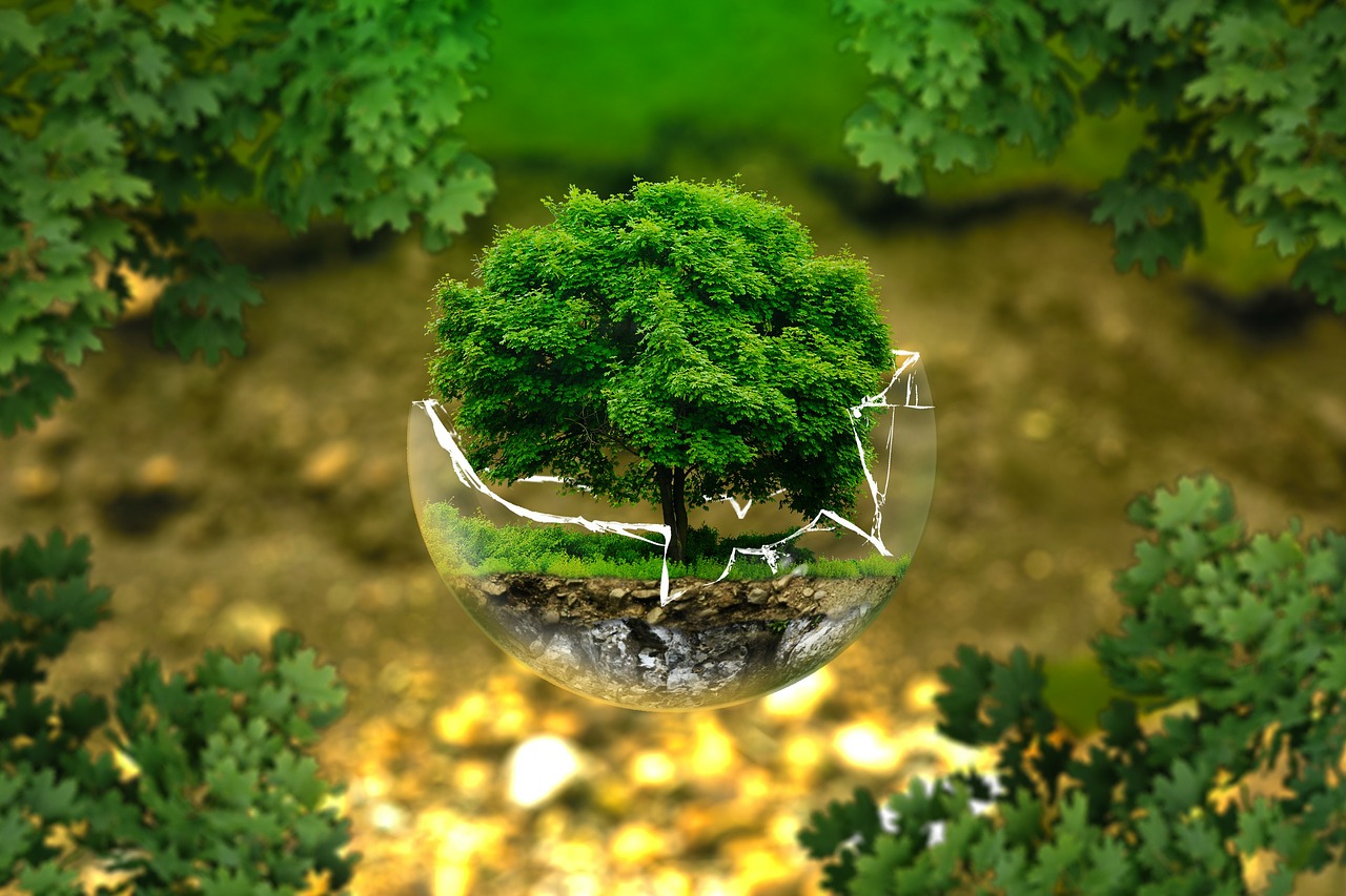 NCEC Certification for Environmental Consultants in Saudi Arabia: A Strategic Step Toward Professional Excellence